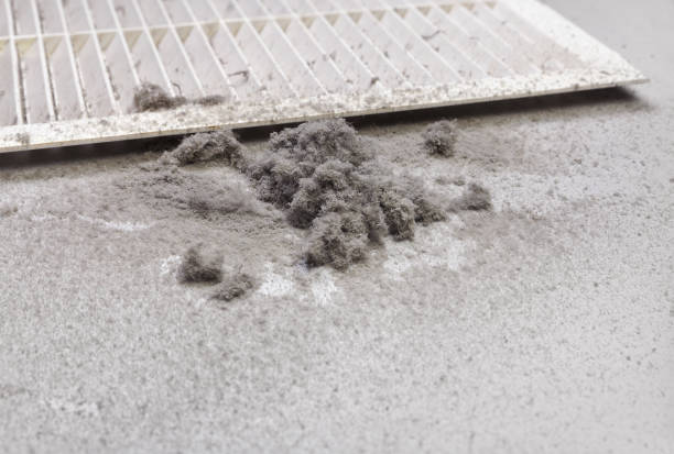 Best Local Air Duct Cleaning Services  in Star, NC