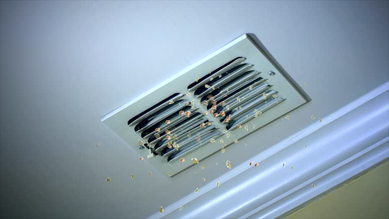 Best Commercial HVAC Duct Cleaning  in Star, NC
